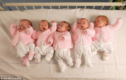 5 em bé dù rất nhỏ nhưng có sức sống kỳ diệu